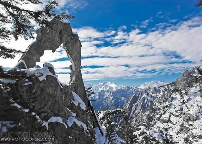 Duc De Padoue Otel Corte (Corsica)
